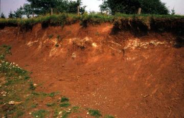 Keupermergel: Sedimentgestein aus Ton-Kalk-Gemengen, entstanden im oberen Trias (Keuper) vor 200 Millionen Jahren