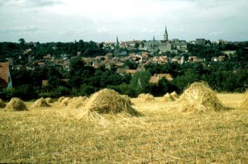 Blick über abgeerntete Getreidefelder auf die Stadt