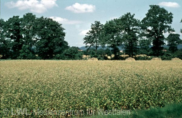 05_7160 Altkreis Paderborn 1950er bis 1970er Jahre