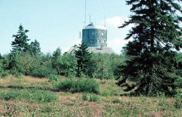 Die Hochheide auf dem Kahlen Asten (Naturschutzgebiet) mit Blick zur Wetterstation "Astenturm"