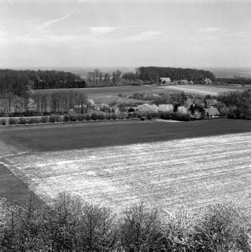Ackerflur in den Baumbergen bei Nottuln: Blick vom Longinusturm, 1981