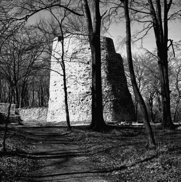 Ruine der Iburg, sächsische Ringwallanlage aus dem 8. Jh., 1189 überbaut mit einer Höhenburg, 1444 zerstört und geschliffen durch Otto, Herzog von Braunschweig, Baudenkmal