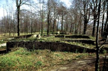 Ruine der Iburg, sächsische Ringwallanlage aus dem 8. Jh., 1189 überbaut mit einer Höhenburg, 1444 zerstört und geschliffen durch Otto, Herzog von Braunschweig, Baudenkmal