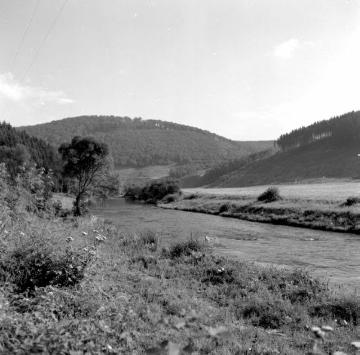 Die Bigge im Tal bei Gut Langenohl (zwischen Kraghammer und Waldenburg) vor dem Einstau der Biggetalsperre 1965