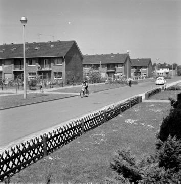 Greven, 1963: Mehrfamilienhaussiedlung Albachtener Straße