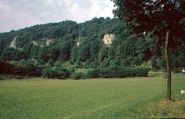 Naturschutzgebiet Leitmarer Felsen zwischen Glindegrund und Leitmar