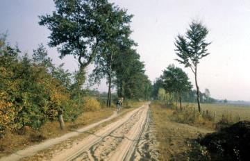 Historischer Leinpfad am ehemaligen Max-Clemens-Kanal bei Wettringen-Maxhafen, 1959