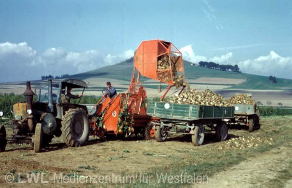 05_9706 Altkreise Höxter und Warburg 1950er bis 1970er Jahre