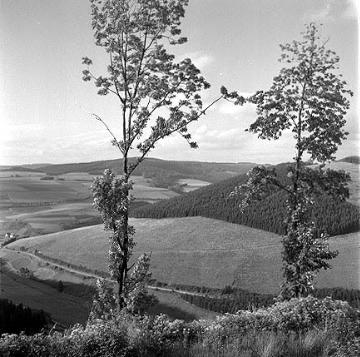 Blick vom Hömberg (695 m) bei Westfeld ins obere Lennetal