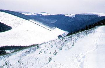 Winterlandschaft, Blick vom Marxhagen (680 m) auf den Hömberg (695 m) und den Ort Langewiese