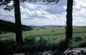 Blick auf die Paderborner Hochfläche bei Buke