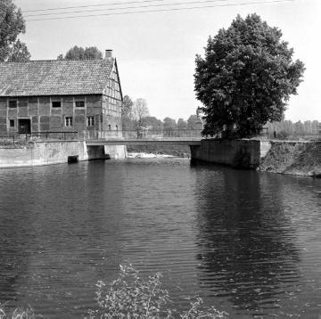 Münster-Handorf: Havichhorster Mühle mit Werse 1959, urkundlich erstmals erwähnt 1318, zugehörig zu Haus Havichhorst, Sudmühle