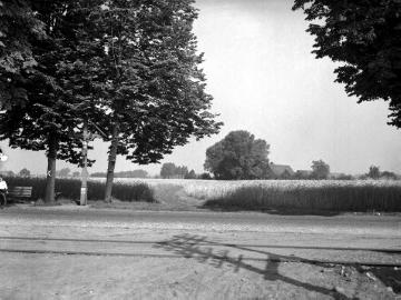 Bildstock bei Münster-Handorf um 1940