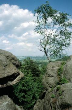 Felsenpartie im Naturschutzgebiet Dörenther Klippen, einer 4 Kilometer langen Sandsteinformation im Teutoburger Wald zwischen Ibbenbüren und Tecklenburg