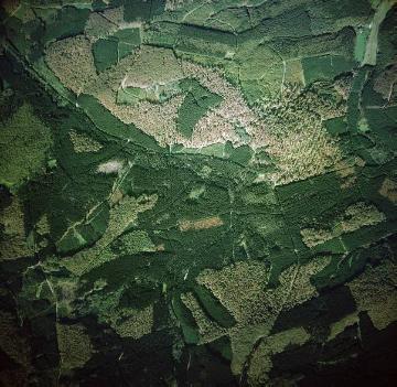 Arnsberger Wald südlich Möhnetalsperre und Körbecke-St. Meinolf, nordwestlich Arnsberg an der Grenze Kreis Soest und Hochsauerlandkreis, östlich von Breitenbruch