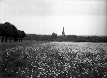 Allee und Blumenwiese am Ortsrand mit Blick zur Kirche St. Gertrud