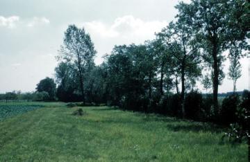 Am ehemaligen Max-Clemens-Kanal bei Emsdetten-Ahlintel, 1959