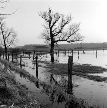 Emmerbach in Münster-Amelsbüren: Hochwasser 1962