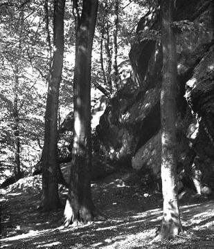 Felsenpartie im Naturschutzgebiet Dörenther Klippen, einer 4 Kilometer langen Sandsteinformation im Teutoburger Wald zwischen Ibbenbüren und Tecklenburg