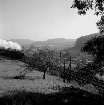 Dampflokomotive auf der Bahntrasse nahe des Saatzermoores (Wüstung aus dem 13. Jahrhundert)