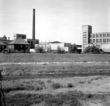 Textilindustrie in Greven, 1964: Fabrikgebäude der Damastweberei Schründer & Söhne am Emsufer