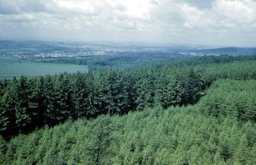 Blick vom Bismarckturm auf dem Vierenberg zum Teutoburger Wald