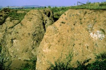 Zeugnis des tertiären Vulkanismus: Basaltkuppe des Dörenbergs westlich von Daseburg