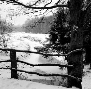 Emsdetter Mühlenbach nahe Hof Lintel im Winter