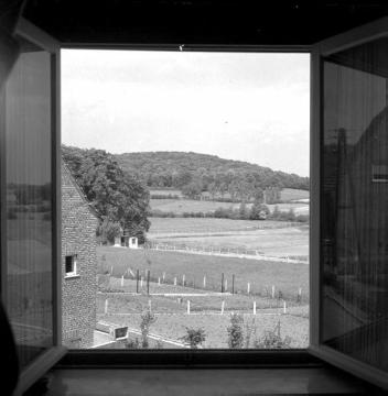 Fensterblick über einen Hausgarten auf den Buchenberg