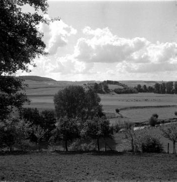 Die Nethe mit Blick in die Landschaft des Nethegau