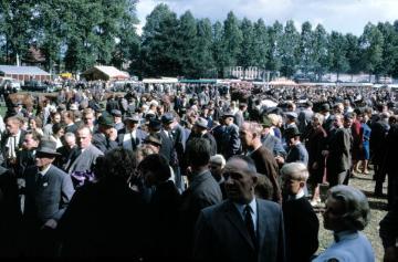 Pferdemarkt Telgte, 60er Jahre: Besuchermassen