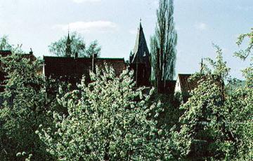 Baumblüte am Wall mit Blick zur Kirche St. Patrokli
