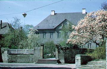 Baumblüte am Hof von Friesenhausen, Steingraben 12; spätbarockes Herrenhaus von 1718
