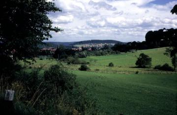 Blick vom Stellberg auf den Ort