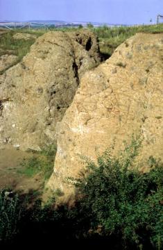 Zeugnis des tertiären Vulkanismus: Basaltkuppe des Dörenbergs westlich von Daseburg