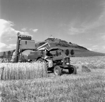 Mähdrescher bei der Getreideernte in der Warburger Börde - im Hintergrund der Desenberg