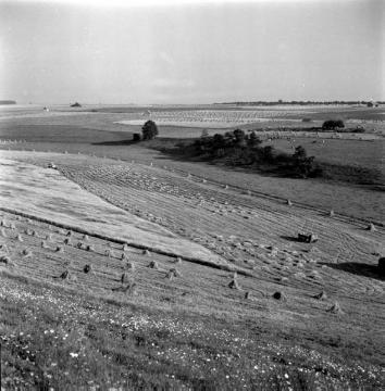 Landschaft der Paderborner Hochfläche: Blick über abgeerntete Getreidefelder bei Haxtergrund