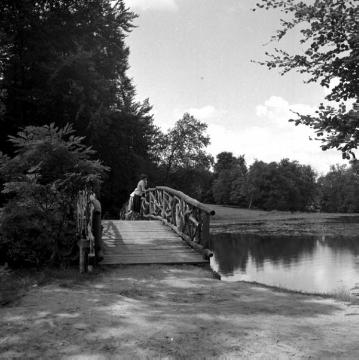 Die "Knüppelbrücke" über den Waldsee im "Bagno", Schlosspark von Schloss Steinfurt, ehemaliger Barock- und Landschaftspark (1765 bis 1820)