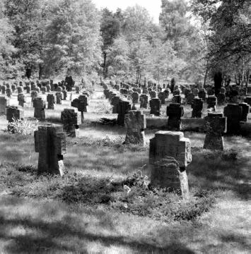 Ehrenfriedhof auf dem Waldfriedhof Lauheide bei Telgte, 1959