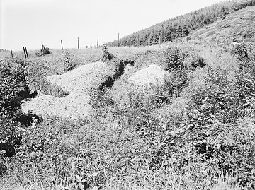 Überwachsene Kalkgrube im Versetal bei Klinkenberg (späteres Talsperrenareal)