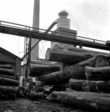 Brakeler Gewerbebetrieb: Holzlager einer Sperrholzfabrik