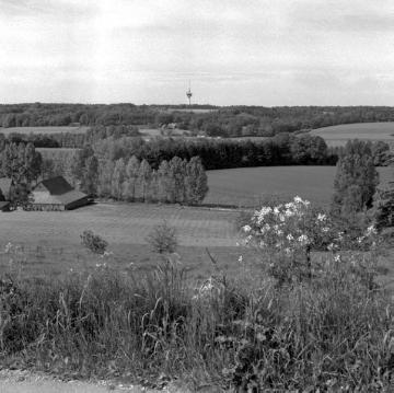 Ackerlandschaft der Exterheide am Fuße des Kleebergs mit Blick zum Fernsehturm