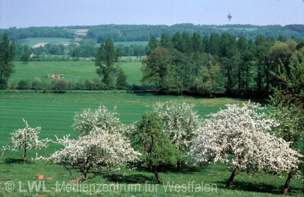 05_8209 Altkreise Tecklenburg und Steinfurt mit ihren Nachbarregionen