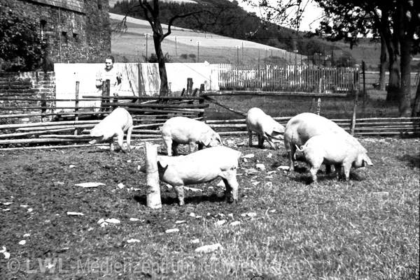 03_3237 Aus privaten Bildsammlungen: Das Dorf Lenne und Hof Dümpelmann in Fotografien des Fabrikanten Ernst Fastenrath, 1942/1943 (Slg. Dümpelmann)