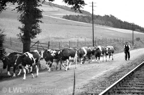 03_3240 Aus privaten Bildsammlungen: Das Dorf Lenne und Hof Dümpelmann in Fotografien des Fabrikanten Ernst Fastenrath, 1942/1943 (Slg. Dümpelmann)