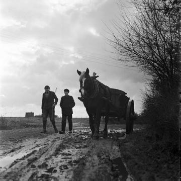 Pferdekarren auf einem Feldweg, heute "Up der Brede", Berhand Hübers und Eduard Hater