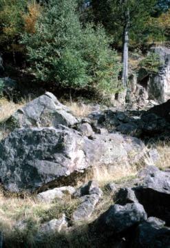 "Felsenmeer": Blockhalden am Fuße der Eggeklippen nördlich Hardehausen