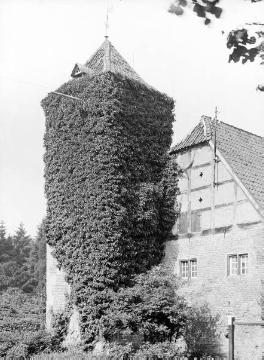 Haus Hülshoff: Bewachsener Turmspeicher
