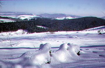 Blick vom Kahlen Asten auf das verschneite Rothaargebirge