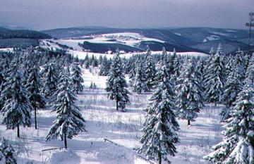 Verschneiter Astenberg mit Blick Richtung Ortschaft Langewiese